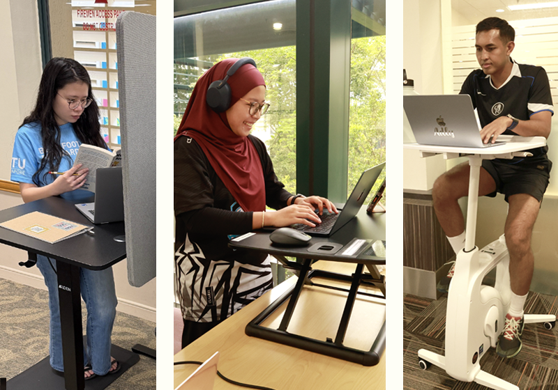 Ergonomic Workstations